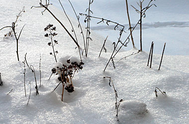 sn&ouml;
