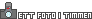 Ett foto i timmen