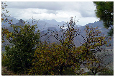 Gran Canaria