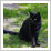 Blandat den 8 maj 2004